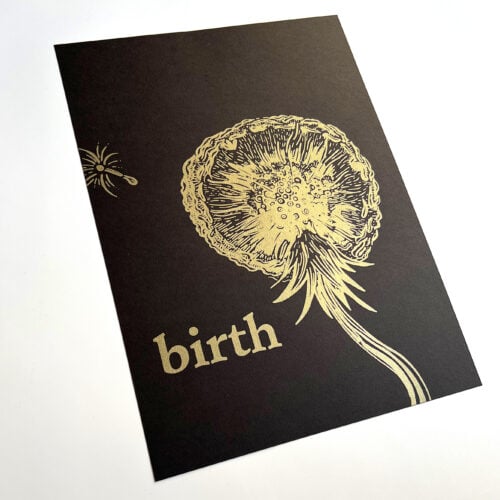 Night Forest - "Birth" Poster
