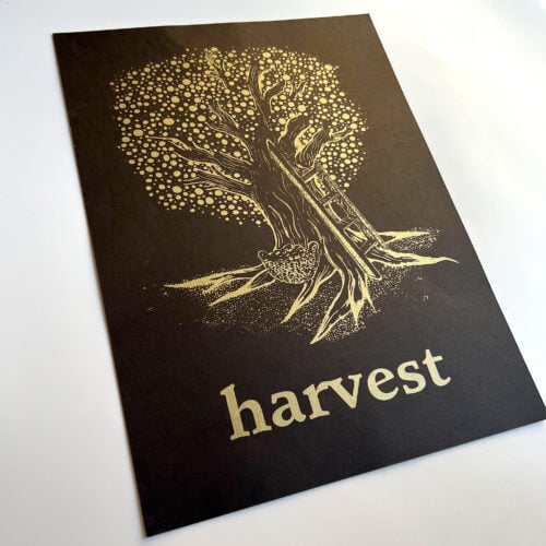 Night Forest - Harvest Poster